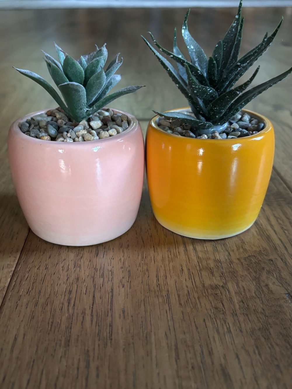 Faux Succulent Duo in Pink and Yellow Ceramic Pots